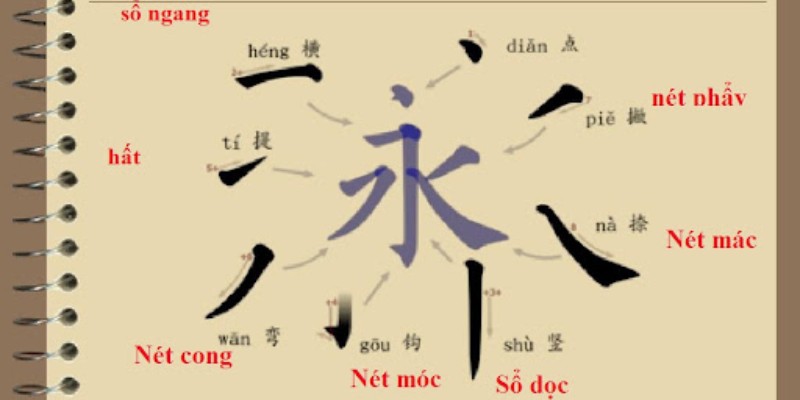 Các nét cơ bản trong tiếng Trung – Quy tắc viết chuẩn xác